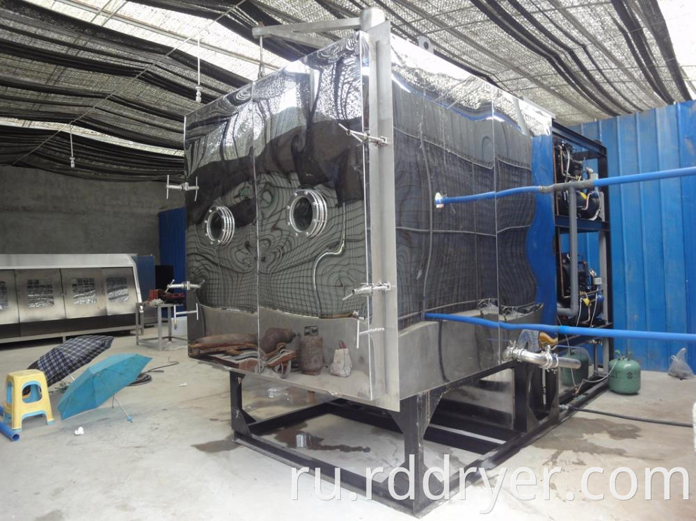 Vacuum Freeze Dryer Machine